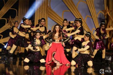 South Indian International Movie Awards 2016 Day 2